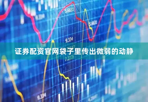 证券配资官网袋子里传出微弱的动静